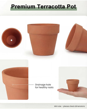 Riseuvo pots for succulents and herbs, promotes healthy roots