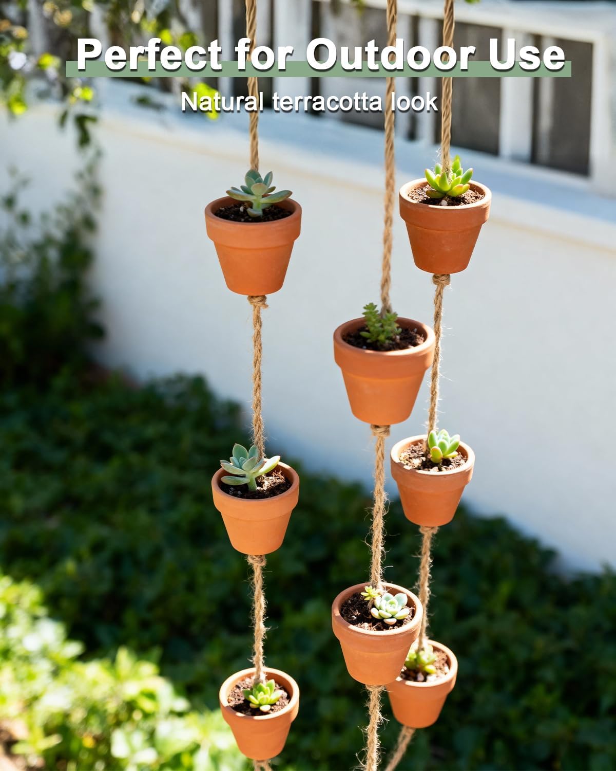 Riseuvo pots for propagating succulents and herbs
