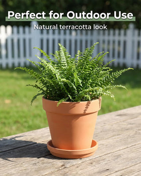 Riseuvo terracotta pot with saucer ideal for seed starting.