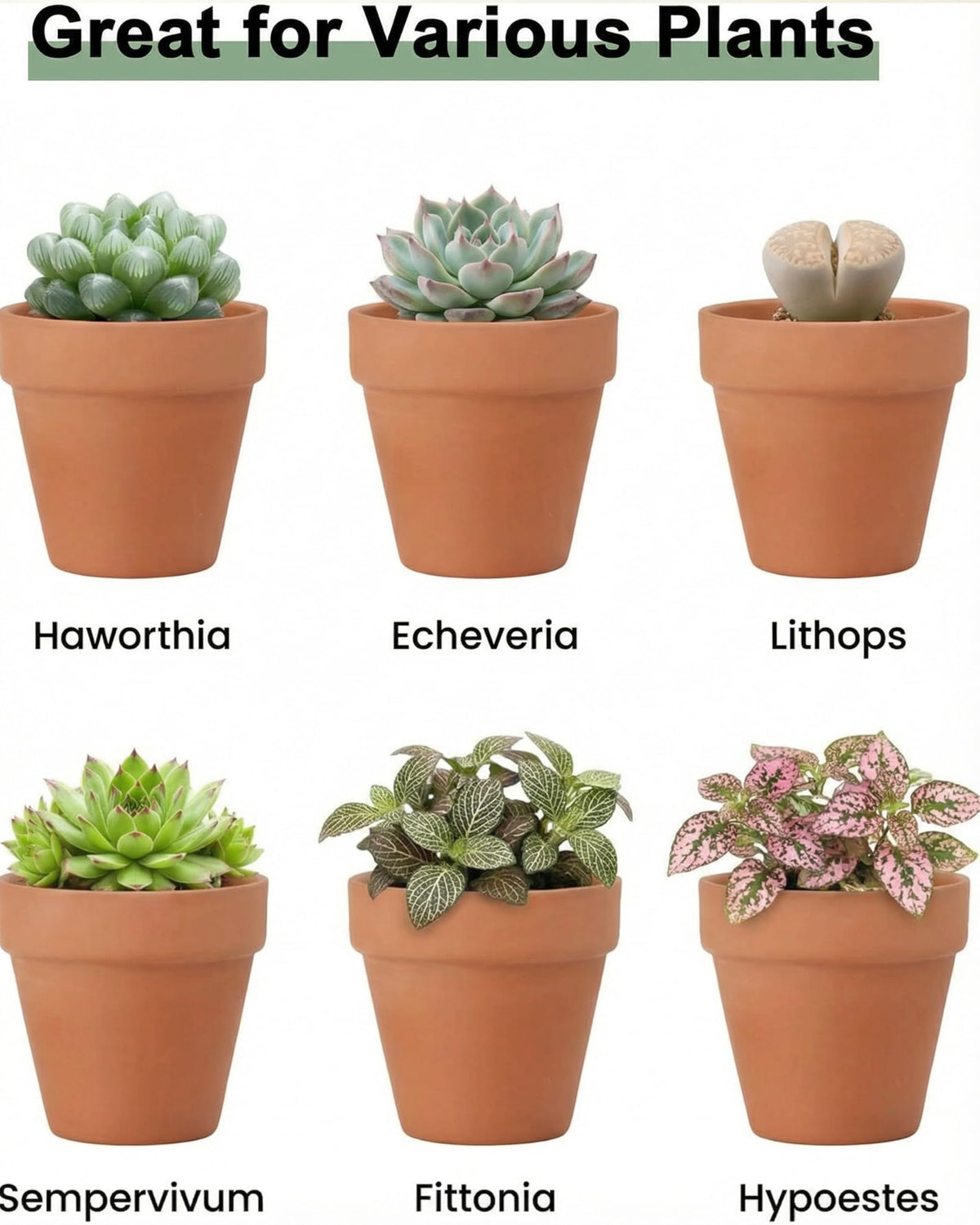Riseuvo terracotta pot with drainage holes, ideal for well-drained soil