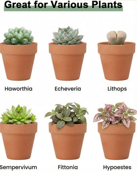 Riseuvo terracotta pot with drainage holes, ideal for well-drained soil