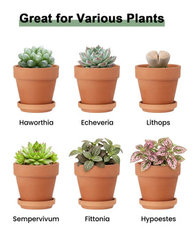 Riseuvo terracotta pots for wedding favors or festive decor.