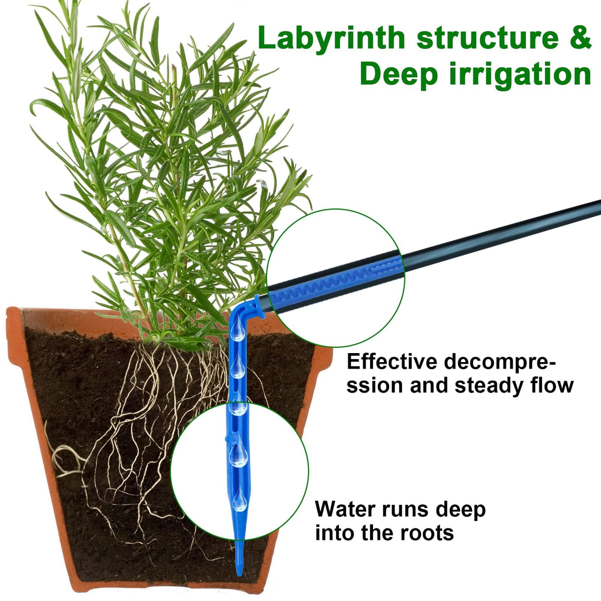 RISINGUP 15 drippers and tees enabling even distribution across plants
