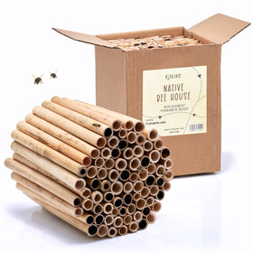 Rivajam 75 Phragmite Reed Mason Bee Tubes in a garden nest setup, durable nesting option.