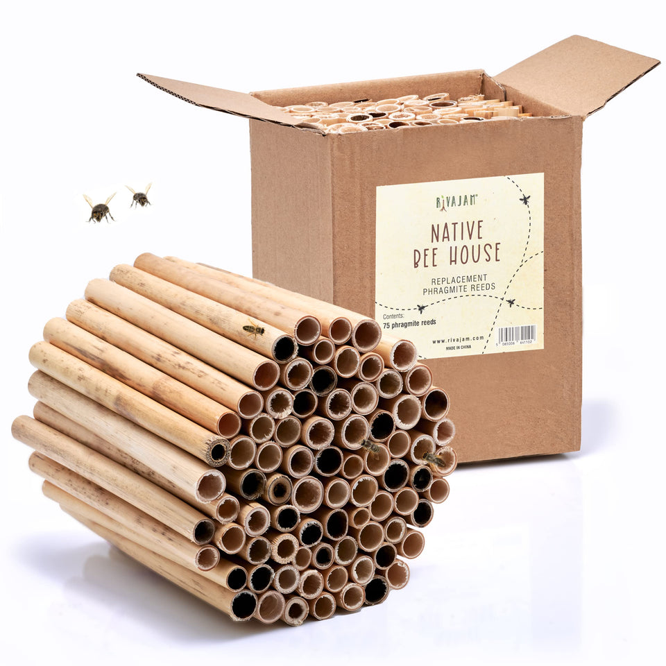 Rivajam 75 Phragmite Reed Mason Bee Tubes in a garden nest setup, durable nesting option.