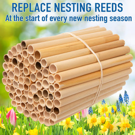 Rivajam clean nesting tips for encouraging bees to nest in a tidy house.