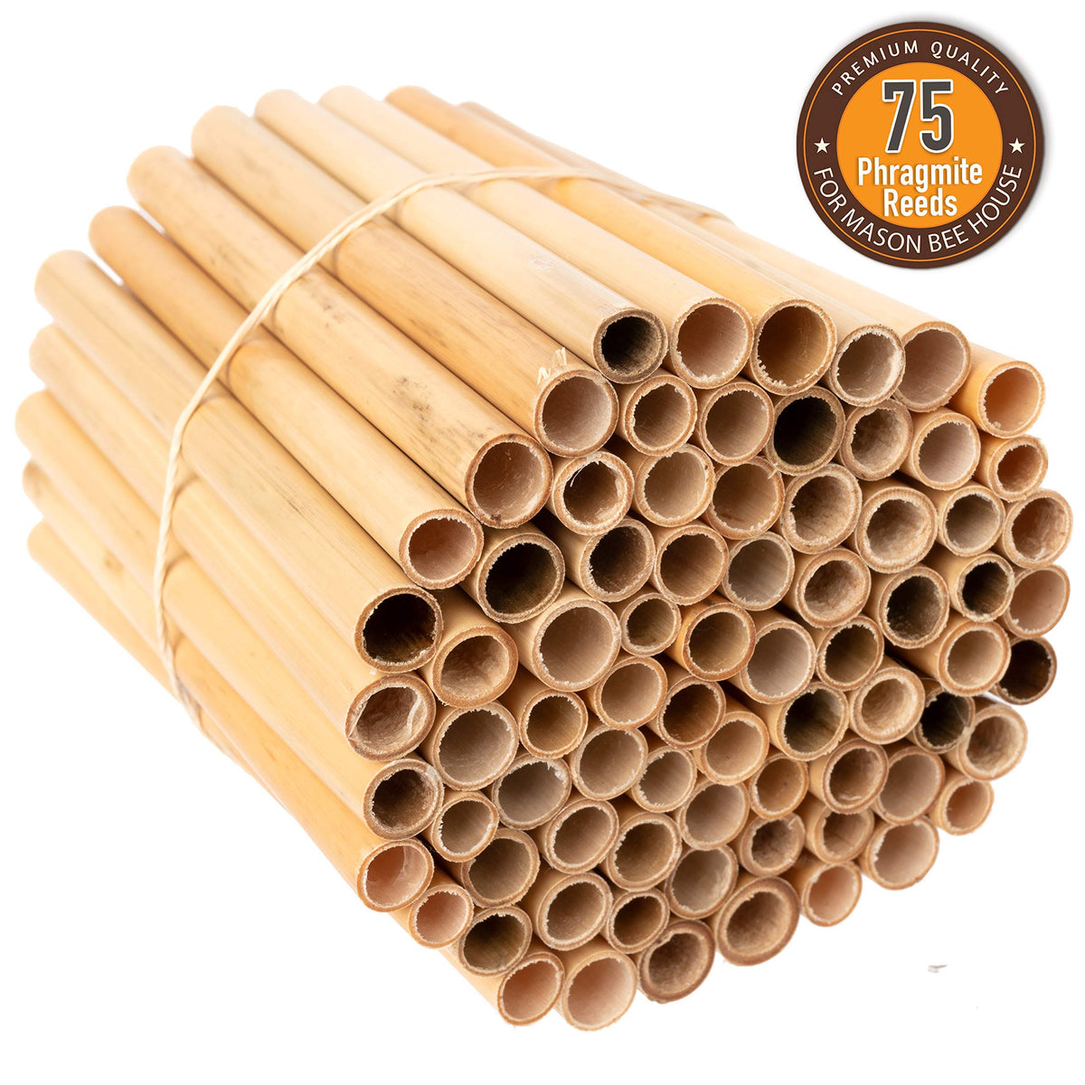 Rivajam family-owned bee supplies emphasize customer-focused care.