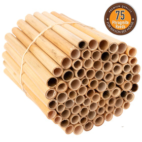 Rivajam family-owned bee supplies emphasize customer-focused care.