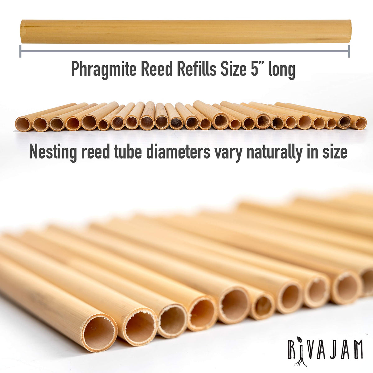 Rivajam varied-size reed tubes arranged to attract multiple solitary bee species.