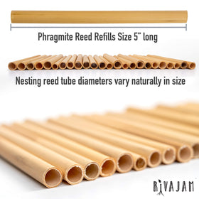 Rivajam varied-size reed tubes arranged to attract multiple solitary bee species.