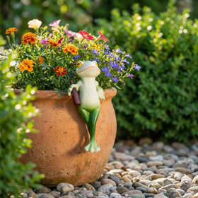 RJVZUKL 5-inch Tipsy Frog as a nature lovers gift on display