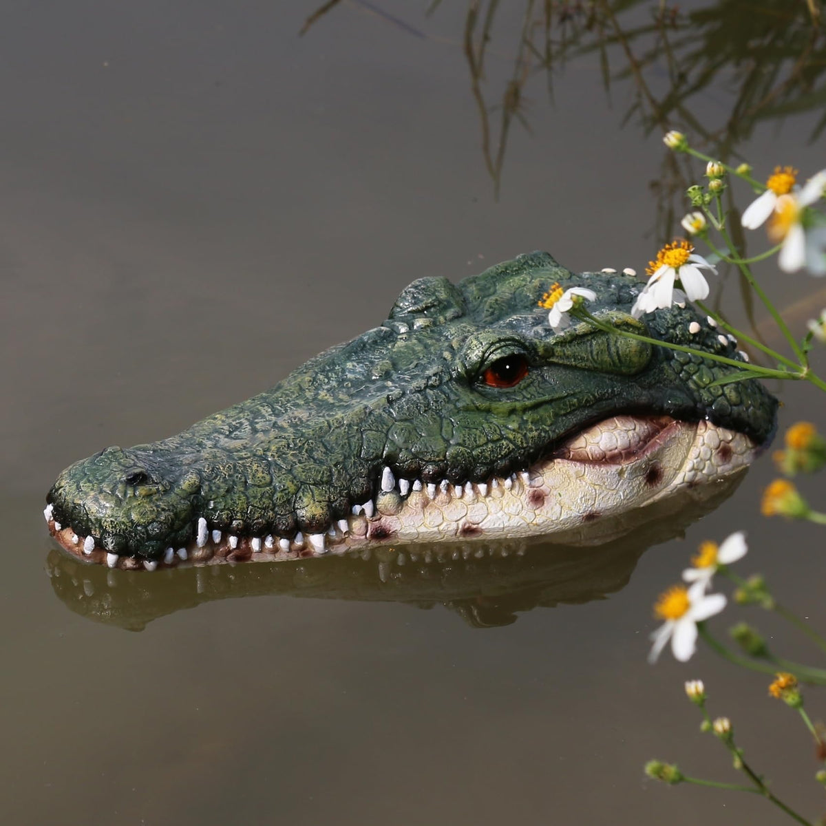 RKGOMDMU alligator head decoy with textured scales for lifelike pond deterrence