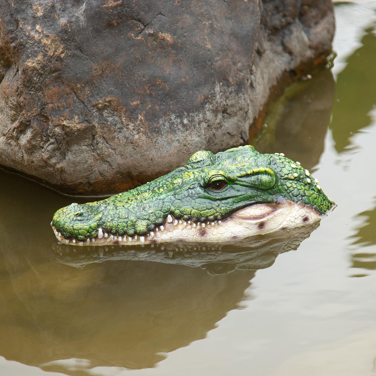 RKGOMDMU garden water feature alligator decoy adds whimsy while safeguarding koi and vegetation