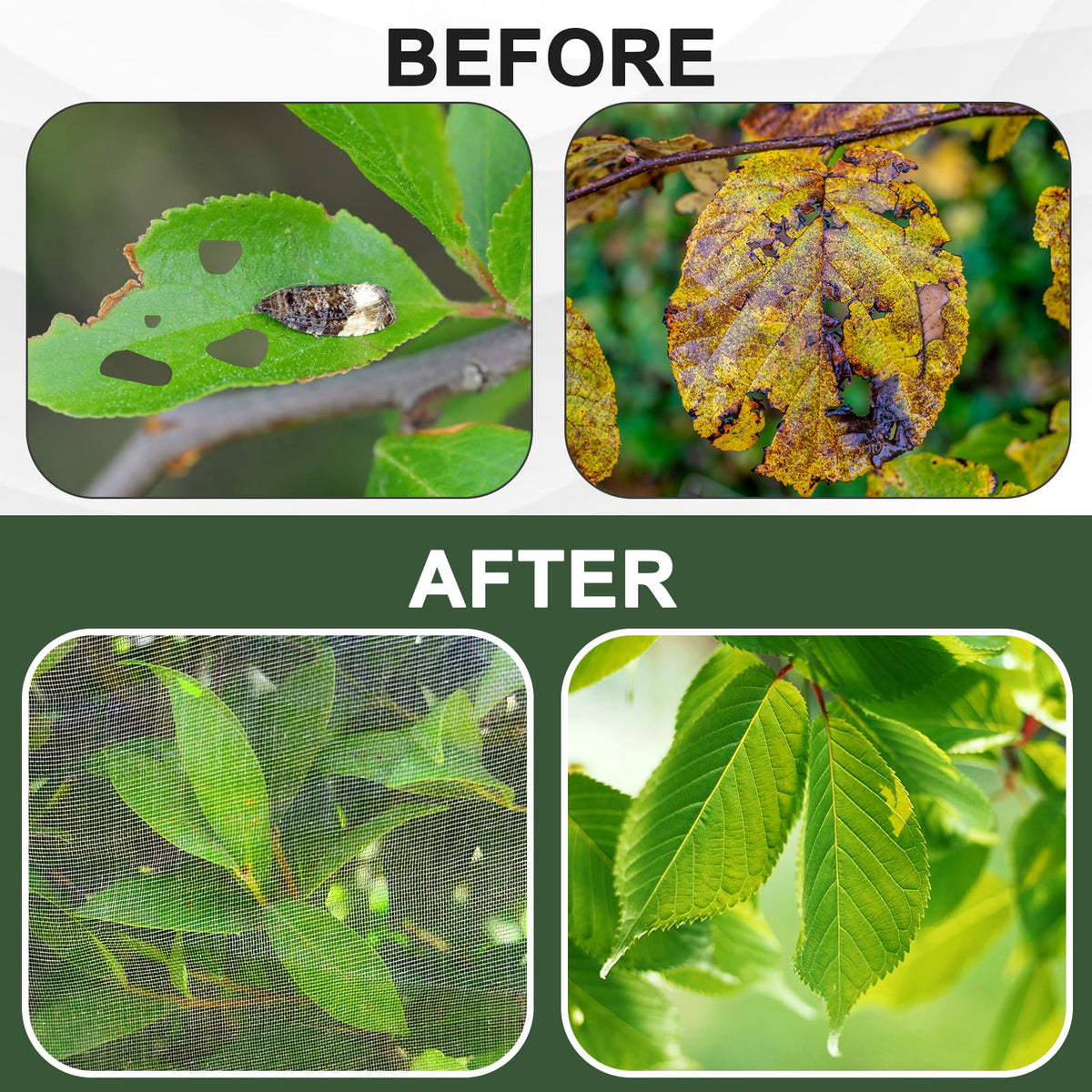 RMBHM breathable mesh allows sunlight and air to reach plants
