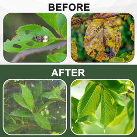 RMBHM breathable mesh allows sunlight and air to reach plants
