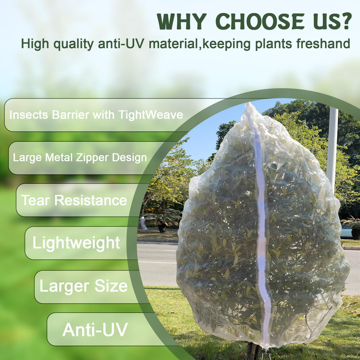 RMBHM pest protection prevents deer and birds from accessing fruit