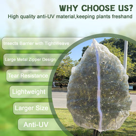 RMBHM pest protection prevents deer and birds from accessing fruit