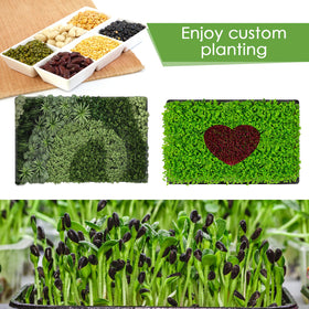 RMBHM Microgreens Trays Kit flat view – compact size fits counters and shelves.