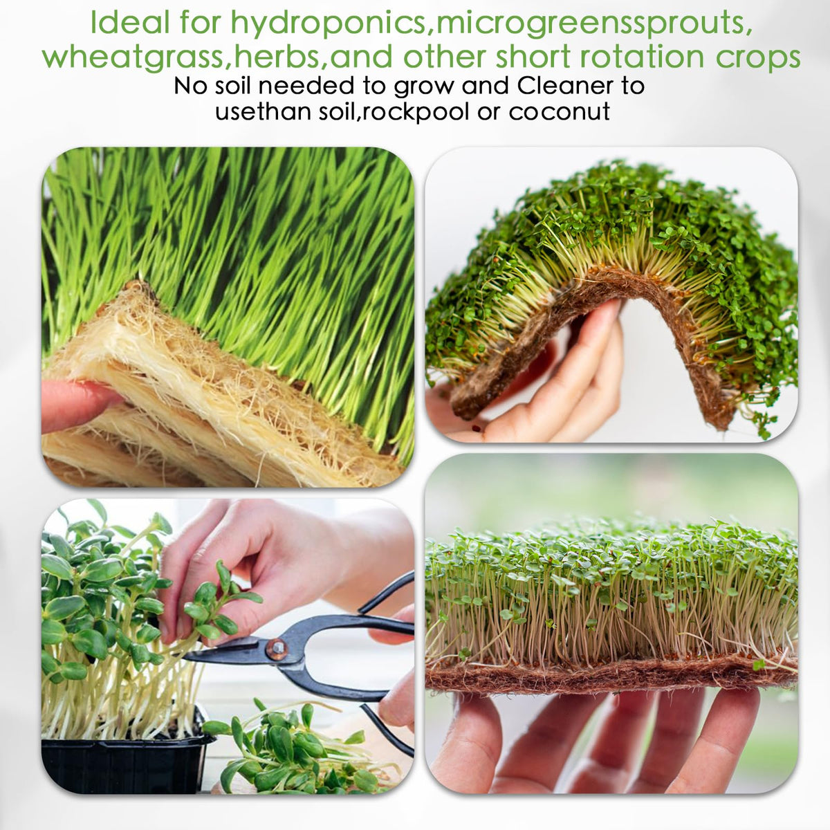 RMBHM Kit display – six-pack value for ongoing microgreen projects.