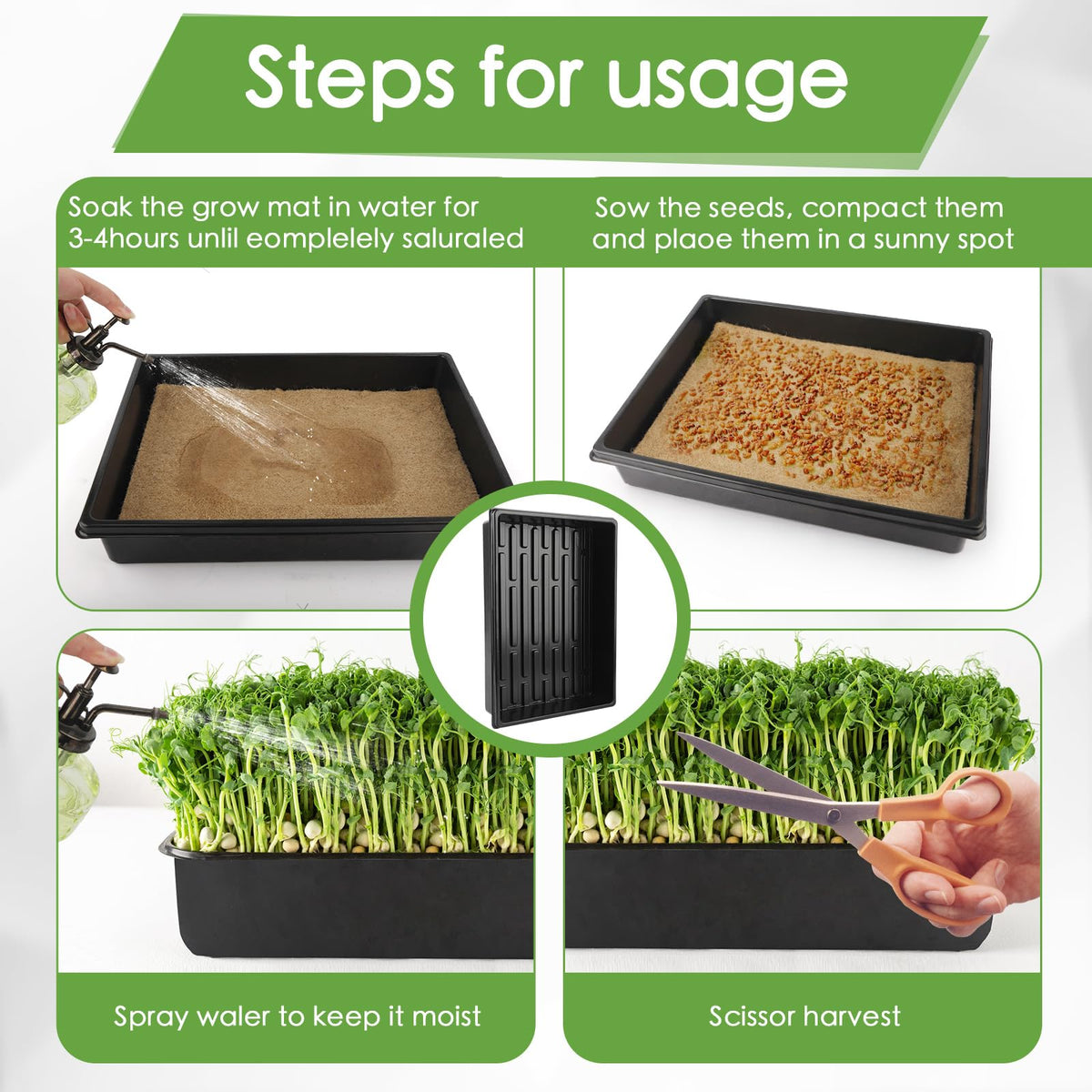 RMBHM Trays Kit in use – perfect for wheatgrass and herb microgreens.