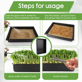RMBHM Trays Kit in use – perfect for wheatgrass and herb microgreens.