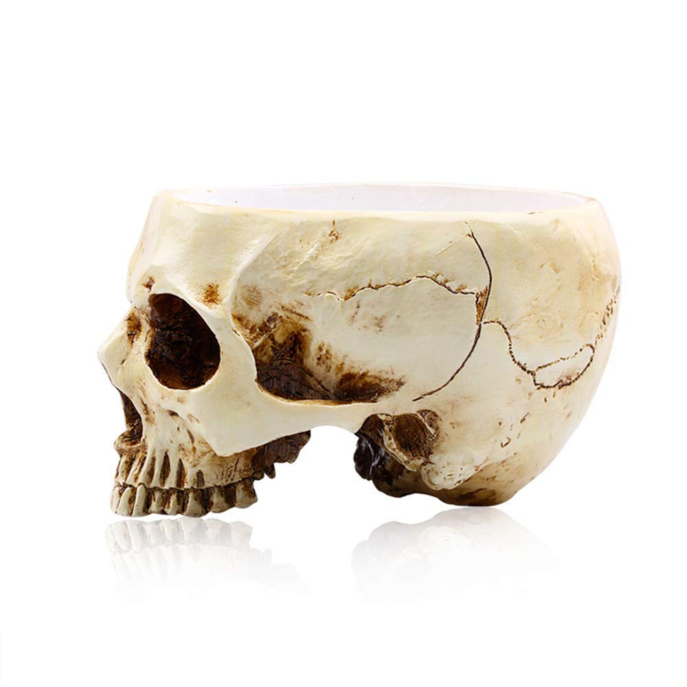 RMM clear skull display holds candy or small trinkets neatly