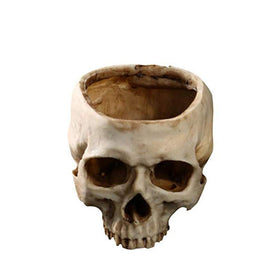 RMM retro skull planter on desk creates an intriguing focal point