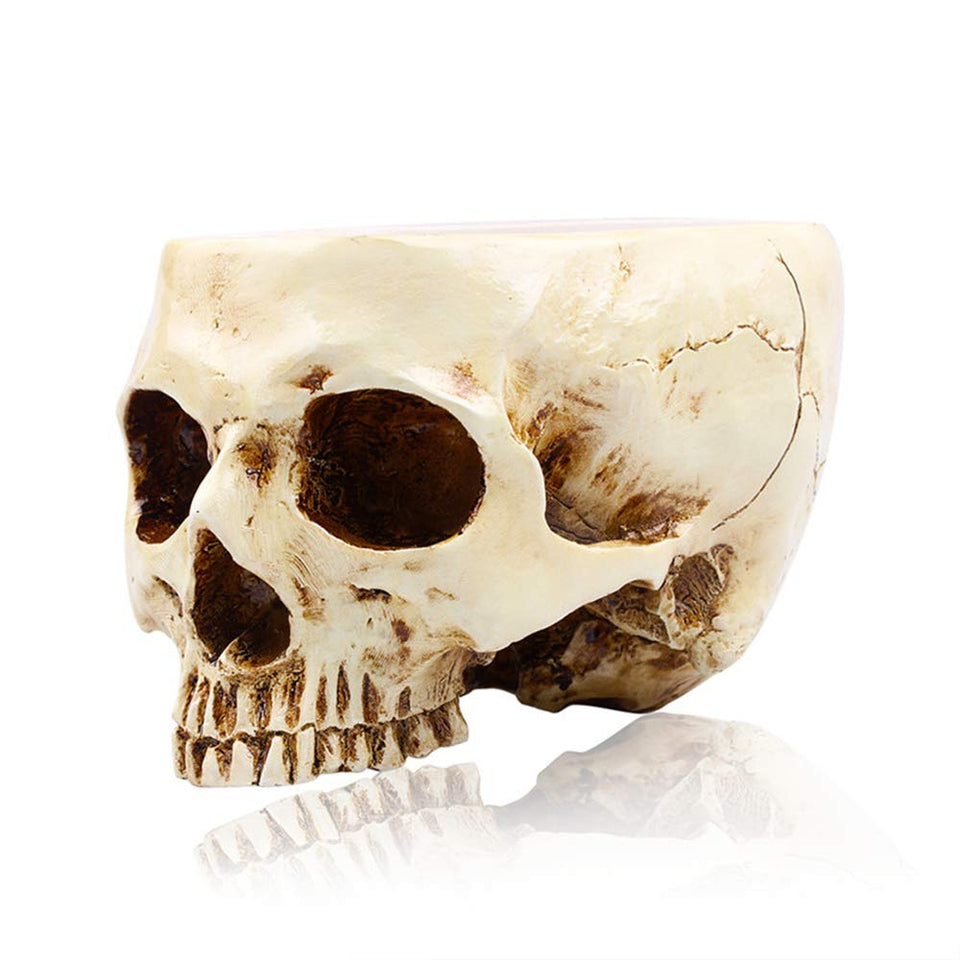 RMM skull flower pot clear front view, ideal for unique Halloween centerpieces