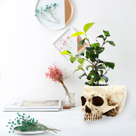 RMM skull planter bar decor on mantel adds autumn ambience