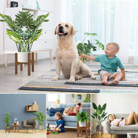Rnined compact corner plant display blending with home décor