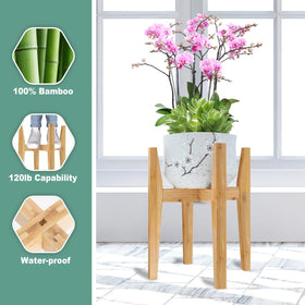 Rnined plant shelf in living room shows mid-century style for stylish decor.