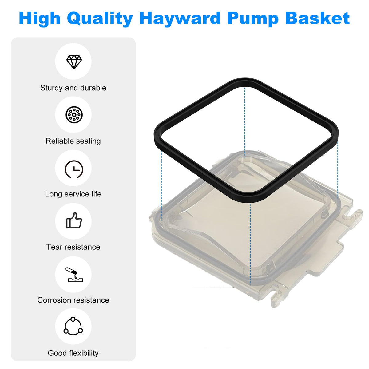 RO6G SPX1600S two pack offers value and ready spare parts for pool maintenance.