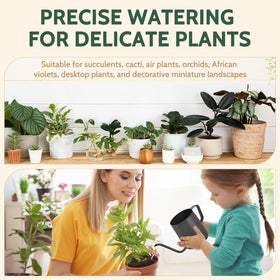 Roamall mini watering can designed for delicate plants like succulents