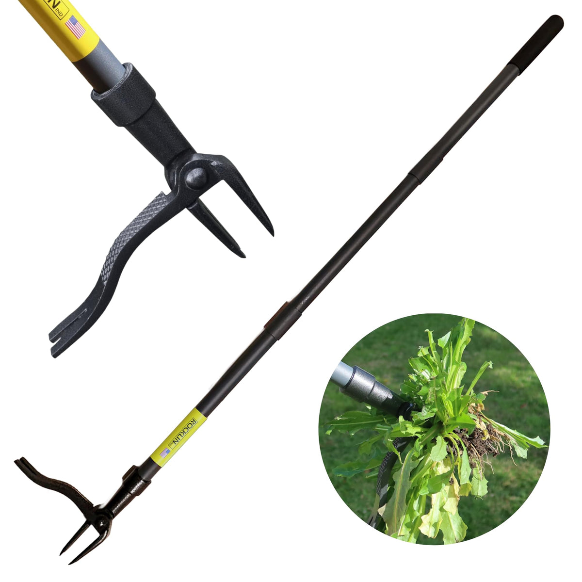 Rocklin Stand Up Weed Puller with 4-claw steel head removes weeds at the root
