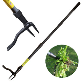 Rocklin Stand Up Weed Puller with 4-claw steel head removes weeds at the root