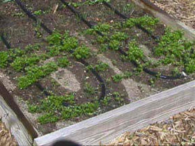 Rocky Mountain Goods easy installation and setup for ready-to-use irrigation.