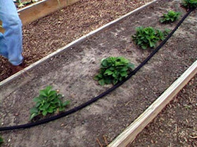 Rocky Mountain Goods garden-use setup watering vegetables and plants at soil level.