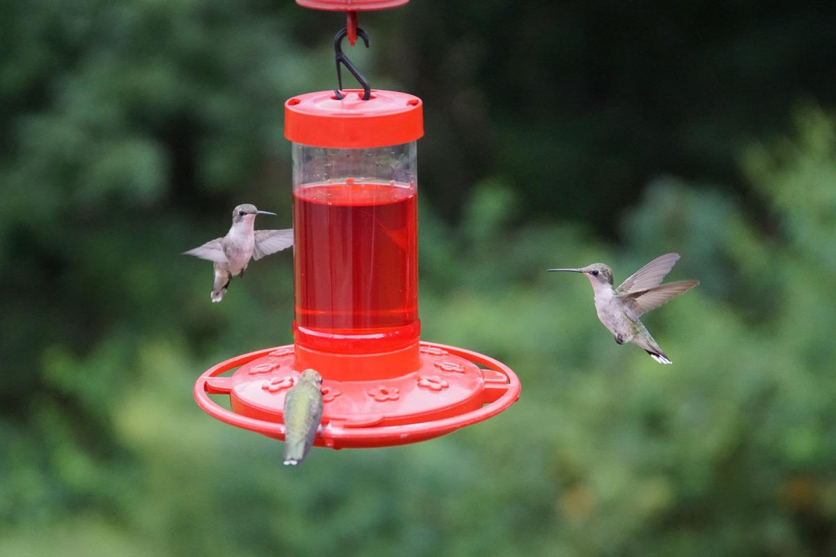 Rocky Mountain Goods 16 oz feeder offers ample nectar for multiple hummingbirds.