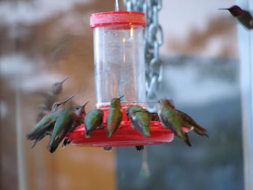 Rocky Mountain Goods hummingbird feeder is easy to clean with warm soapy water.