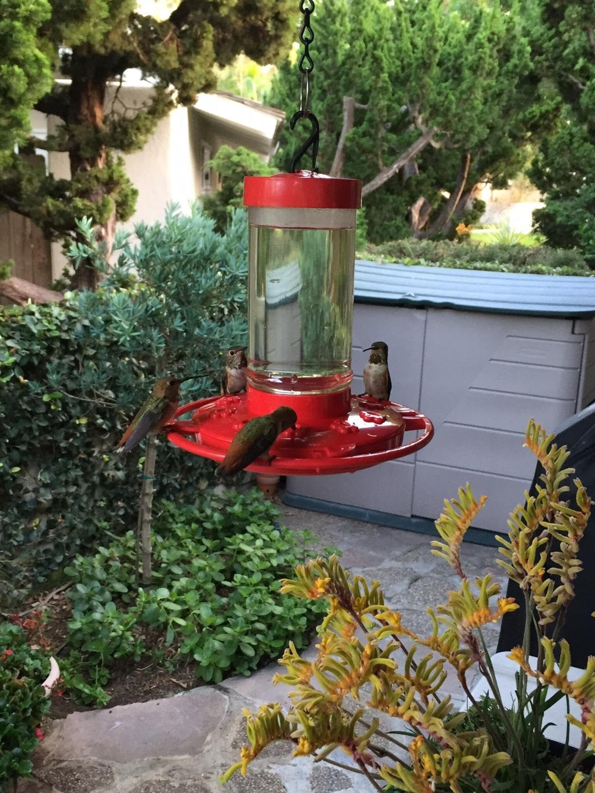 Rocky Mountain Goods feeder with multiple feeding ports for several hummingbirds.