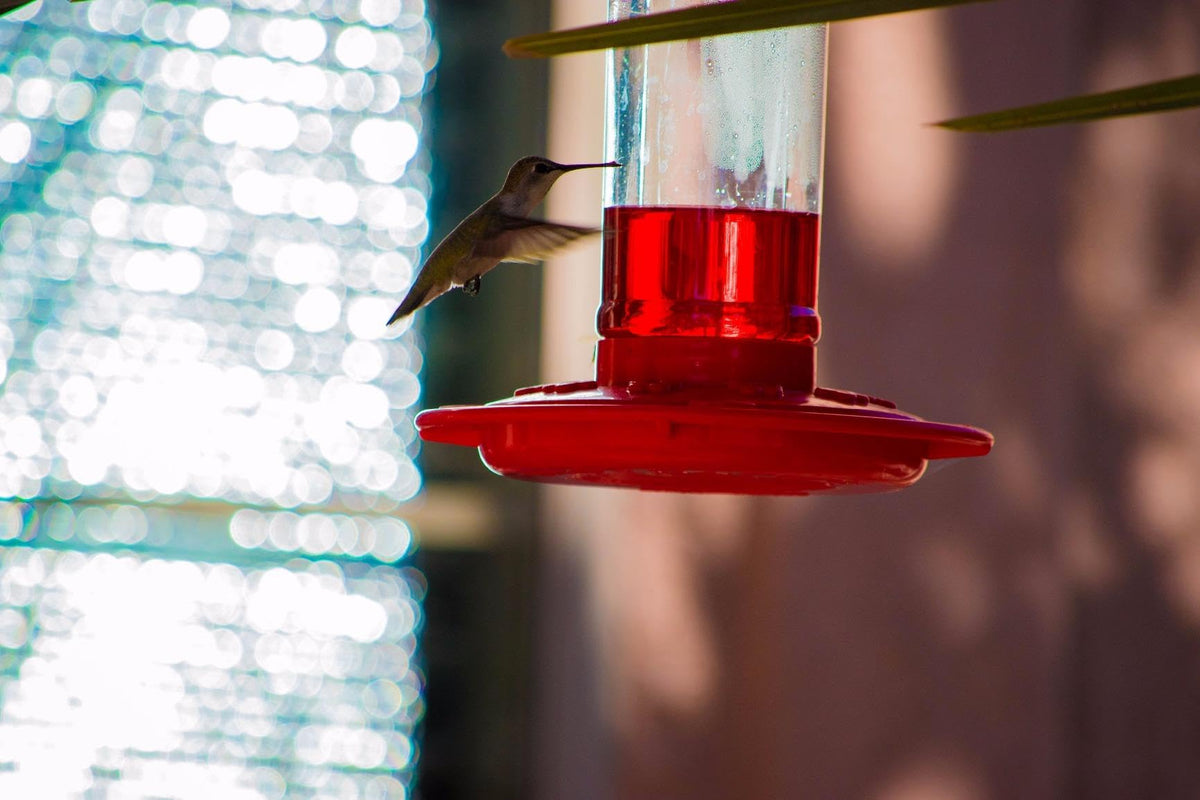 Rocky Mountain Goods feeder includes S-hook for simple hanging on garden hooks.