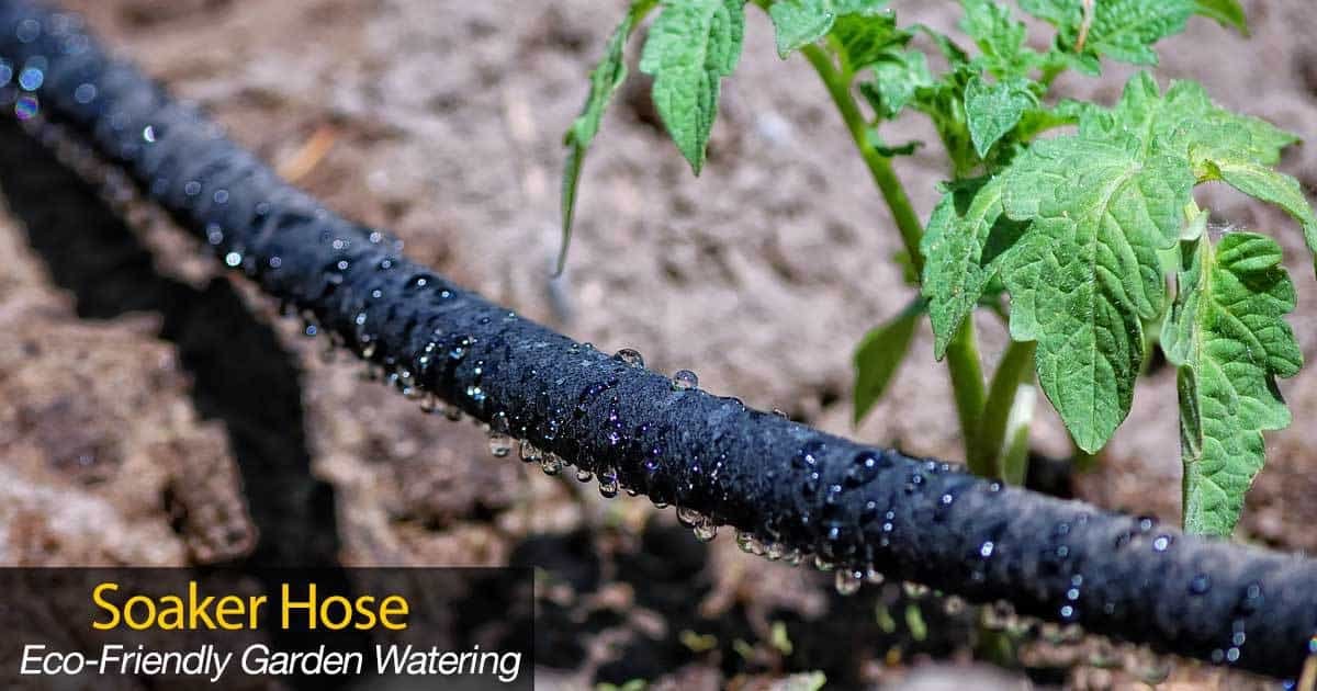 Rocky Mountain Goods soaker hose with reinforced fittings for durable garden irrigation.