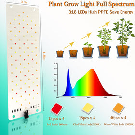 Rocoking 24h timer setup keeps plants on schedule during trips