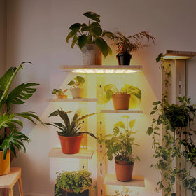Rocoking three lighting modes with 10-level dimming for customizable brightness