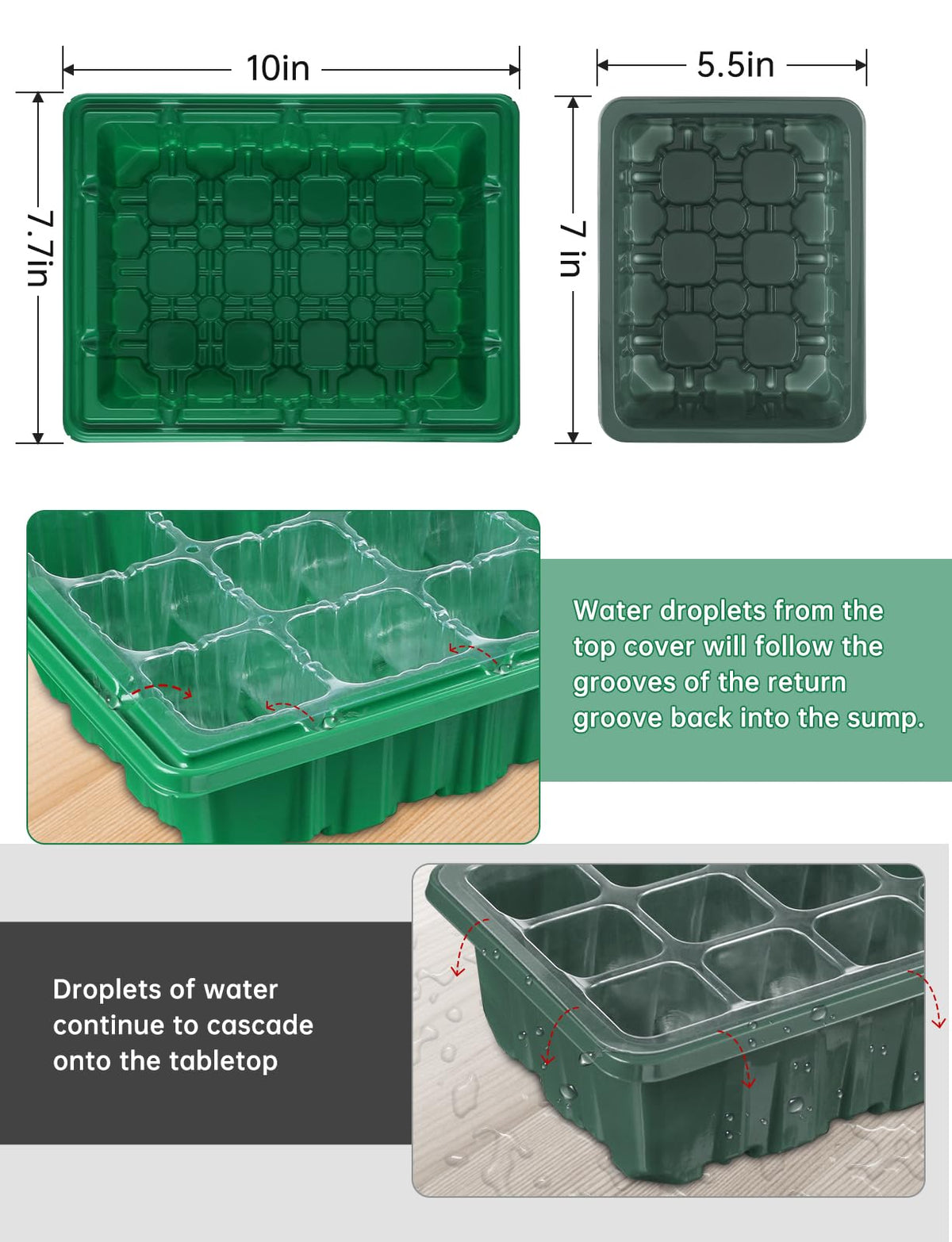 RODINTO all-in-one seed starter kit includes tools and labels