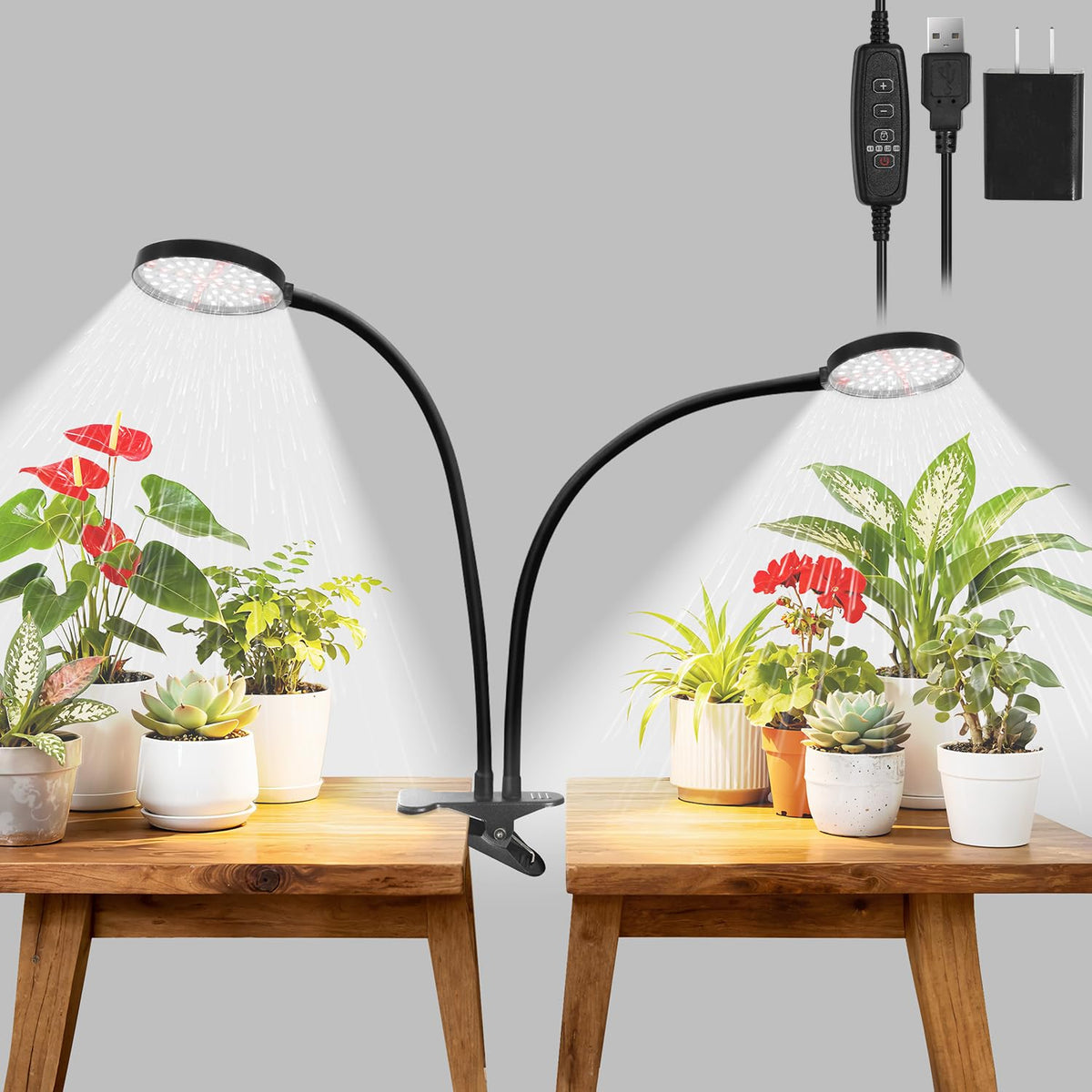 RODINTO grow light full spectrum clip-on brightens indoor seedlings for healthy early growth.