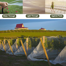 Rohuis Garden Netting safeguards fruit trees from pests while maintaining visibility.
