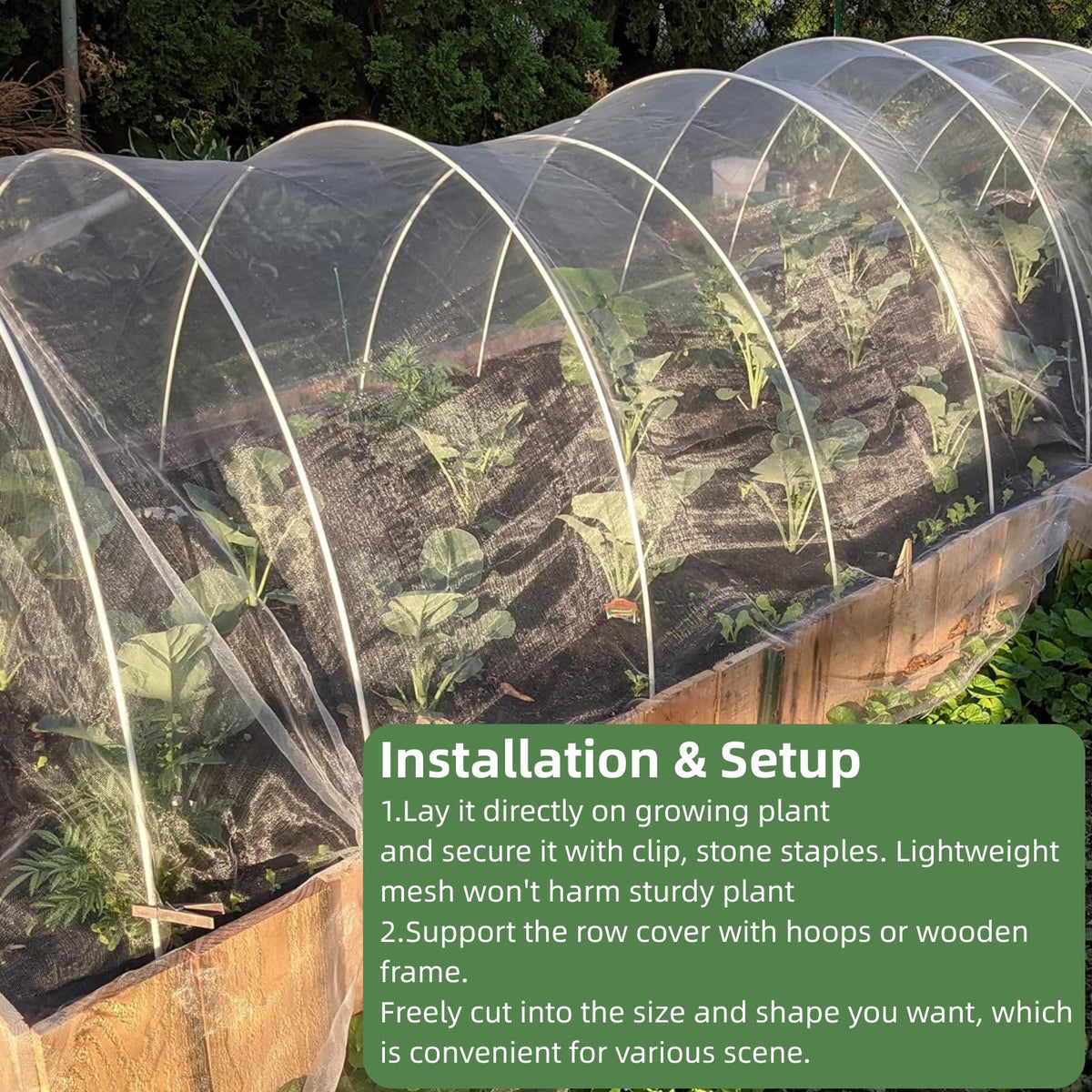 Rohuis multipurpose row cover protects plants and outdoor spaces when pests rise.
