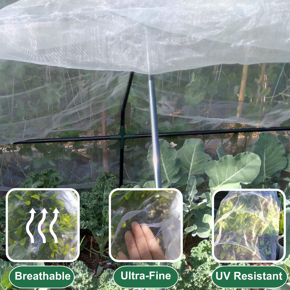 Rohuis patio setup with netting during summer to deter pests