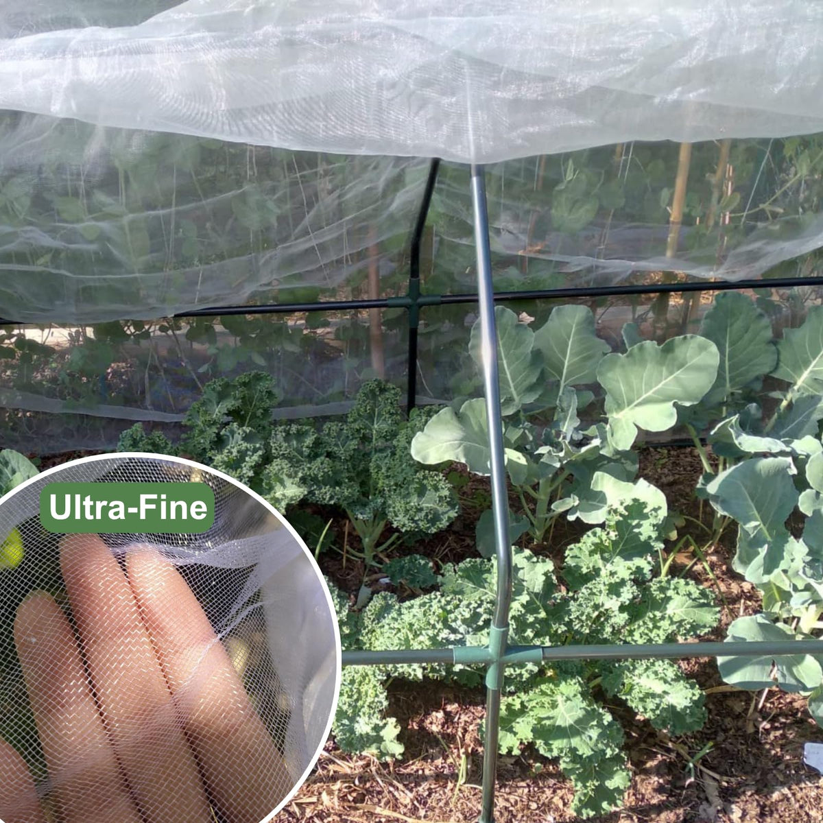 Rohuis reusable netting lasts 3–5 years with proper care.